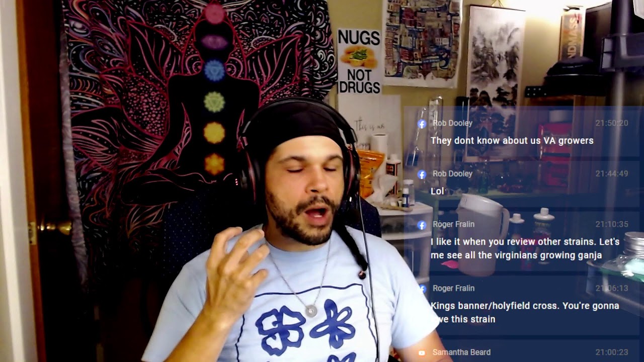 The Great THCa Crackdown: What Happens When the Loophole Closes