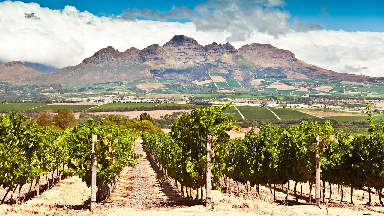 Private Wine Tasting Tour from Cape Town, South Africa