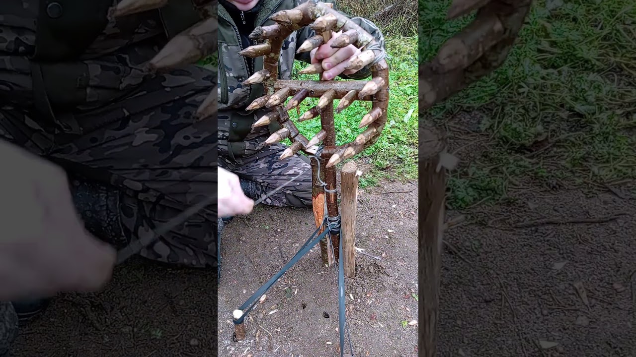 WHAT CAN FALL INTO THIS TRAP??  #trap #survival #trapping