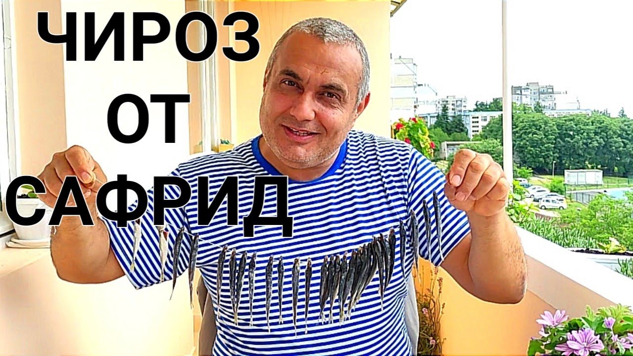 ЧИРОЗ ОТ ДРЕБЕН ЧЕРНОМОРСКИ САФРИД! ОСОЛЕНА И ИЗСУШЕНА РИБА НА КОНЕЦ, ИДЕАЛНО МЕЗЕ С БИРА, БЯЛО ВИНО