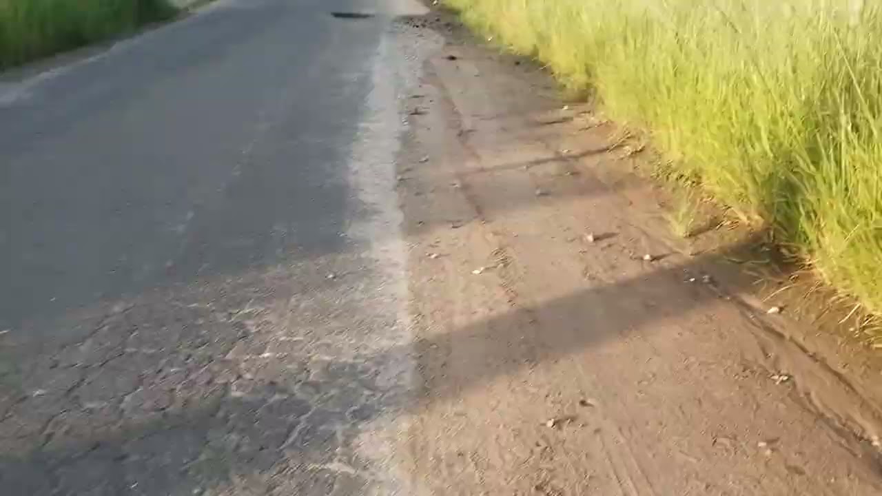 1⁰ treino para o caminho da fé 20/02/25