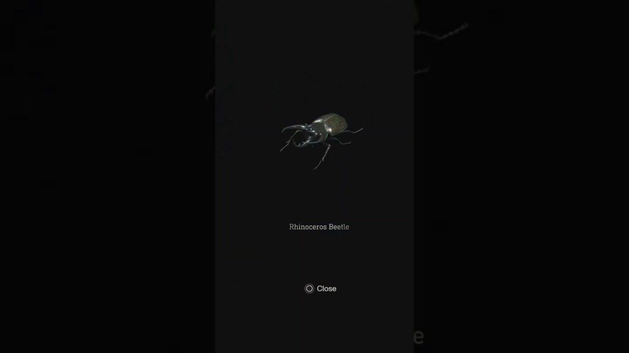 Did You Know About This Secret Item In RE4 REMAKE?