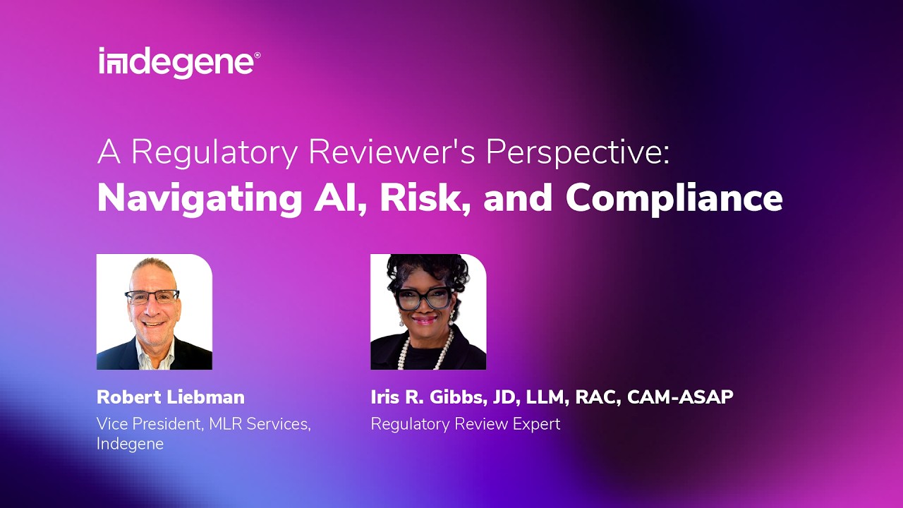 A Regulatory Reviewer&rsquo;s Perspective: Navigating AI, Risk and Compliance