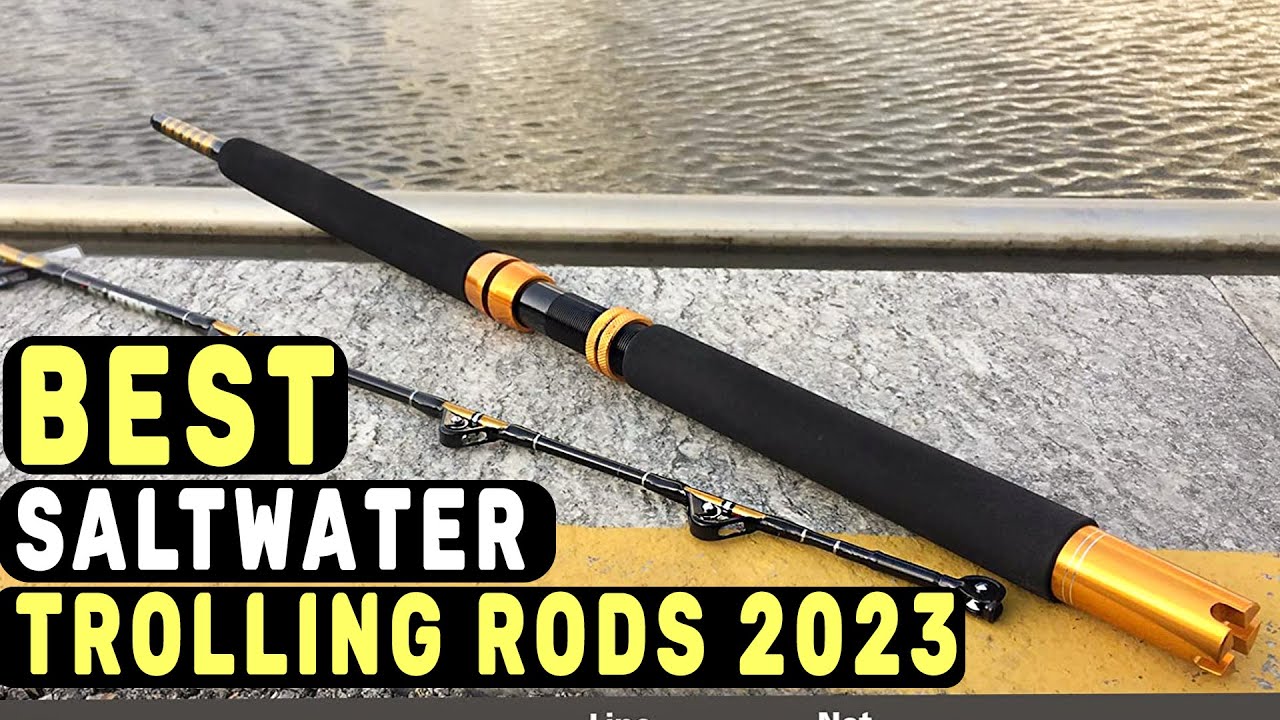 Best Saltwater Trolling Rods in 2023 – Top 5 Guide!