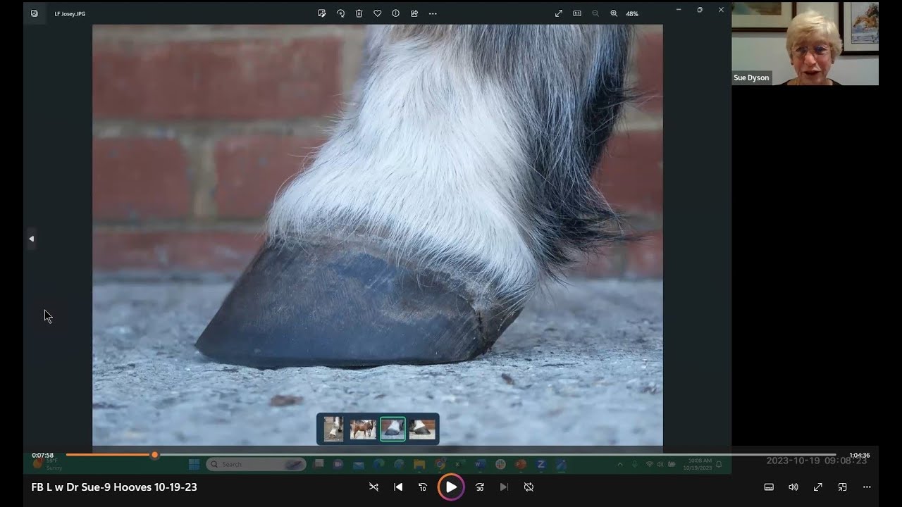 Live with Dr. Sue Dyson - No Hoof, No Horse