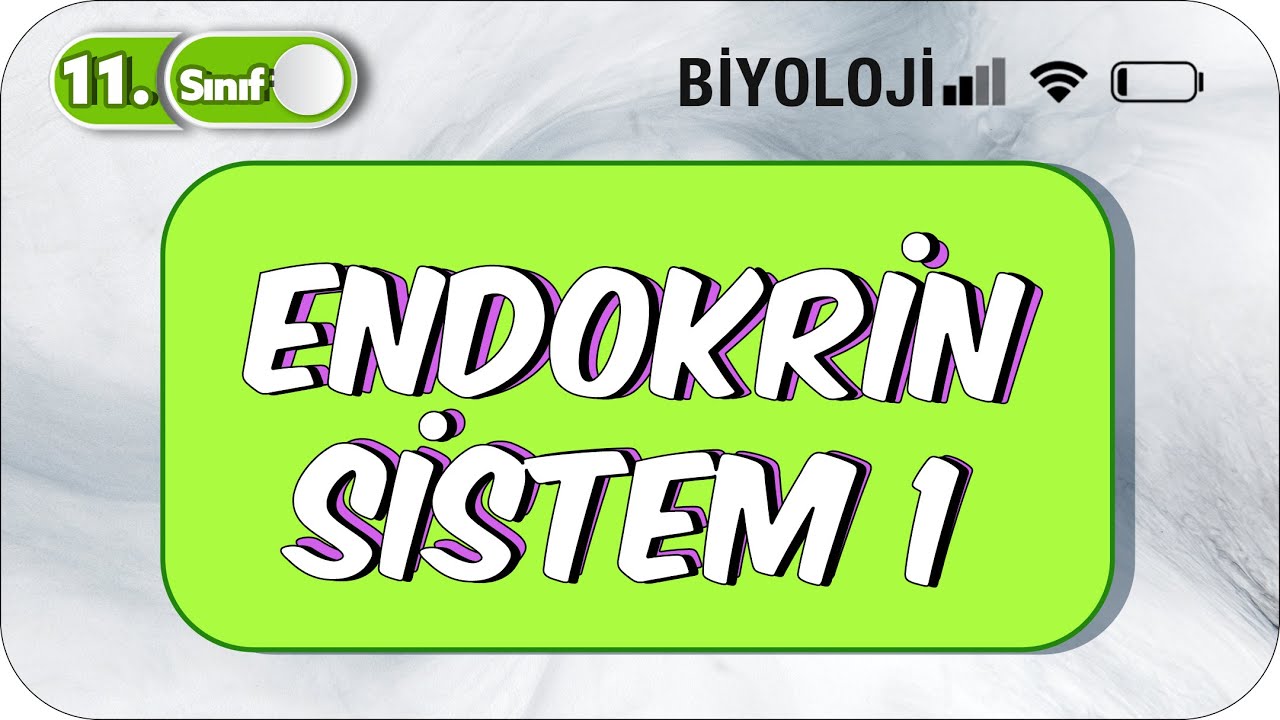 Endokrin Sistem - 1| Taktikli Konu Anlatım | 11. Sınıf Biyoloji  #2023