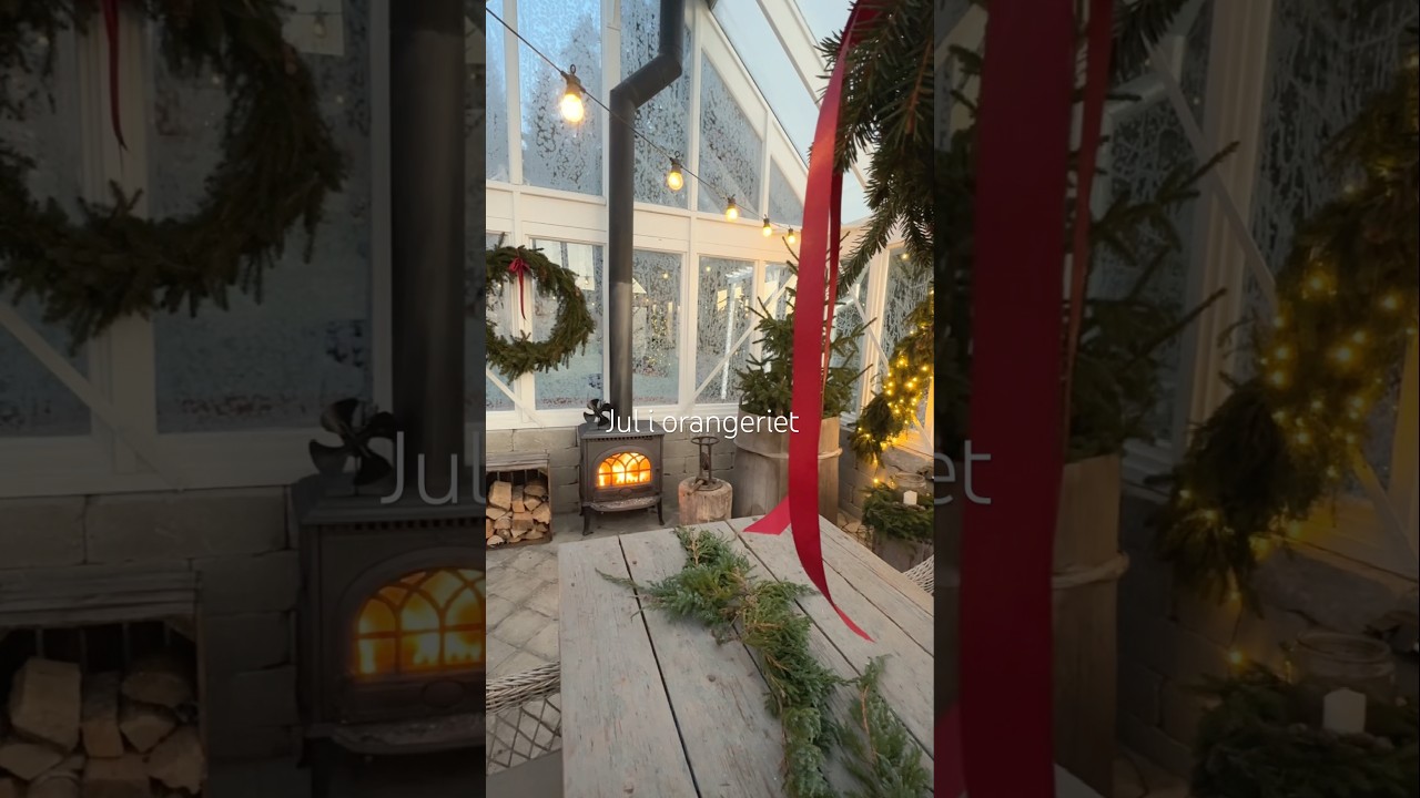 Juldekorerar i orangeriet✨💫❤️ #julpynta #christmasdecorations #diycrafts