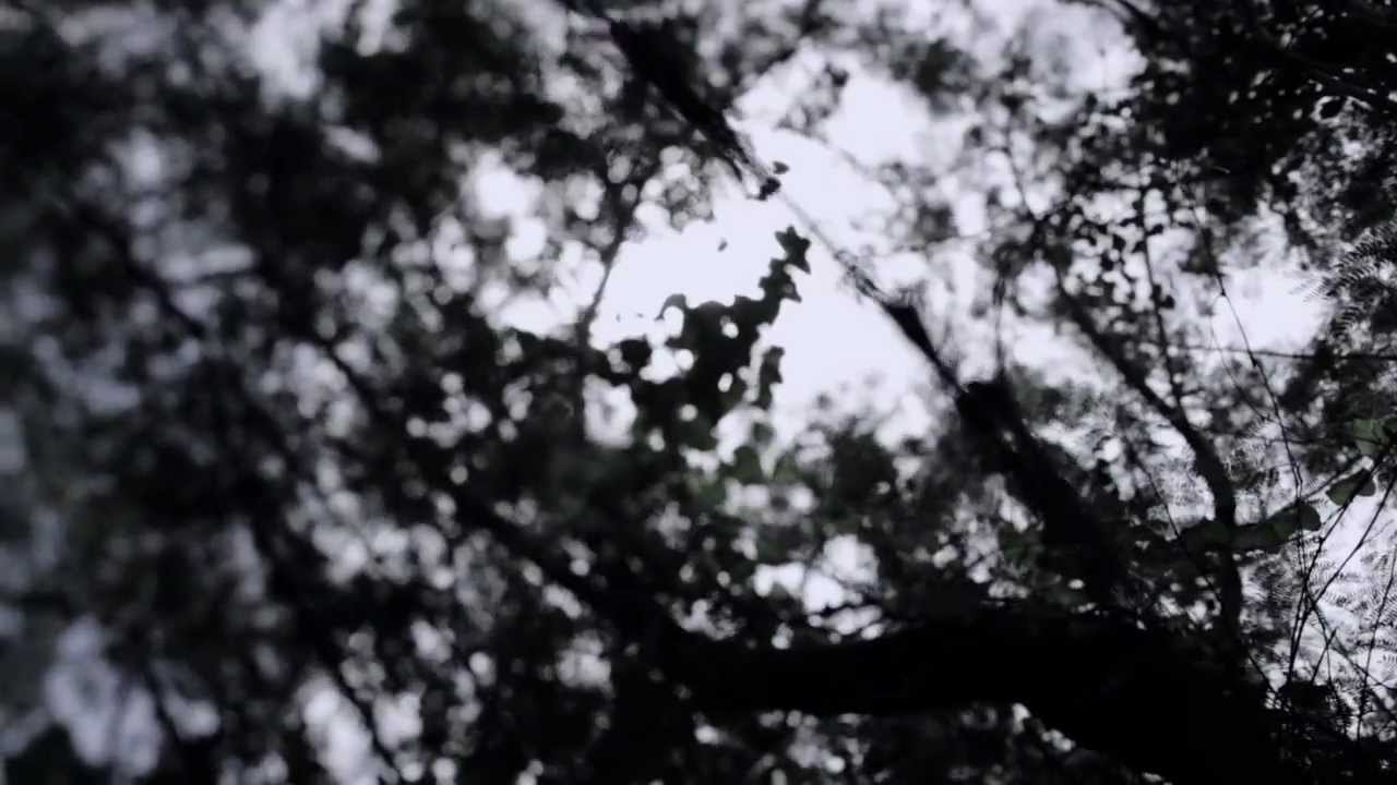 Chladni Chandi - Brahma Brahma (Official Music Video)