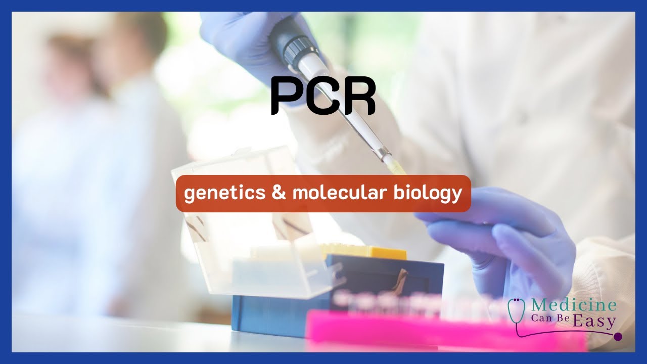 PCR (+ NOTES)