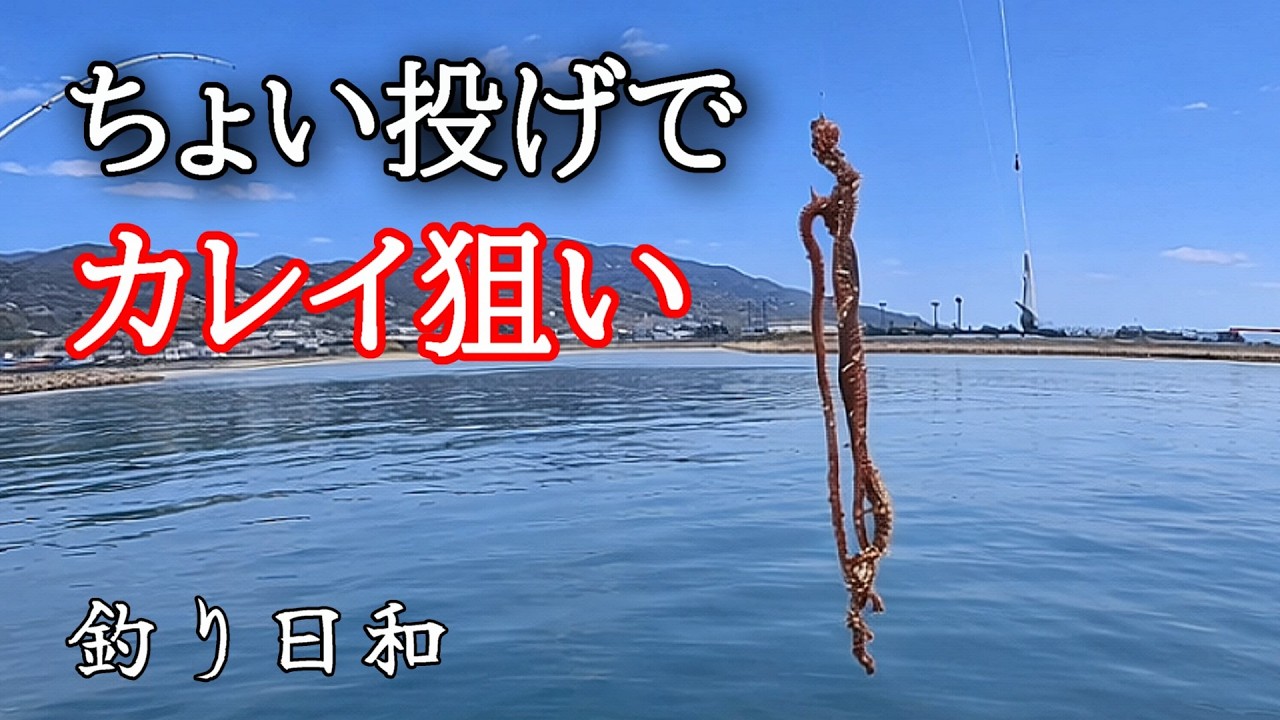 正解はコレでした！肉厚カレイがついに&hellip;ヒラメ・カレイ・チャレンジ５回目【淡路島釣り】