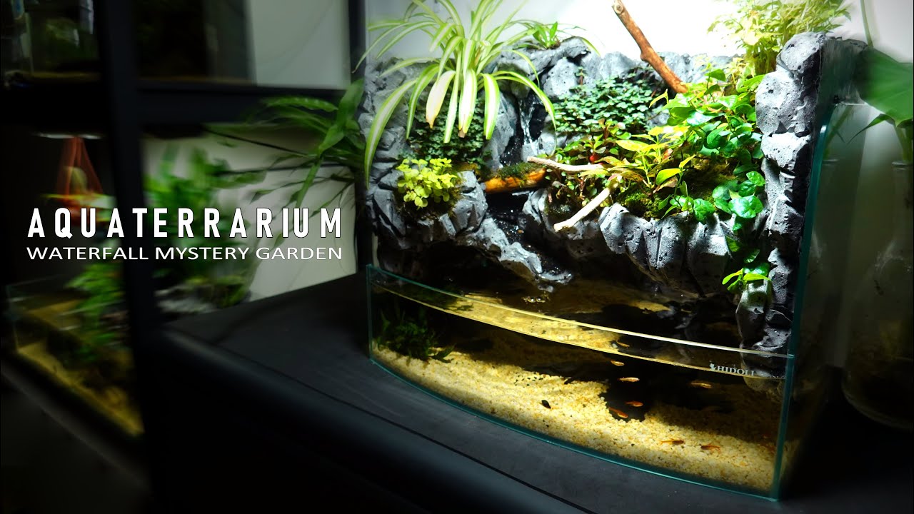 Make Garden Waterfall in Paludarium stepbystep l DIY,No filter,No co2 l aquaterrarium l aquascape