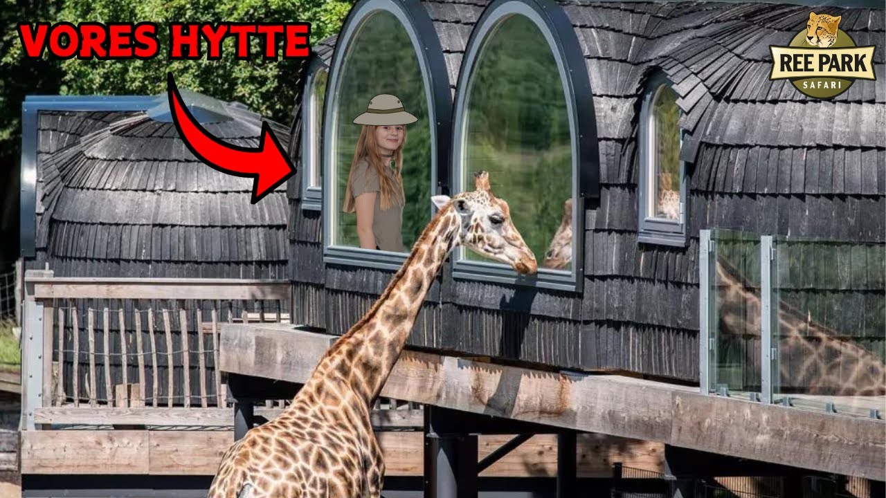 Overnatter I En Zoo