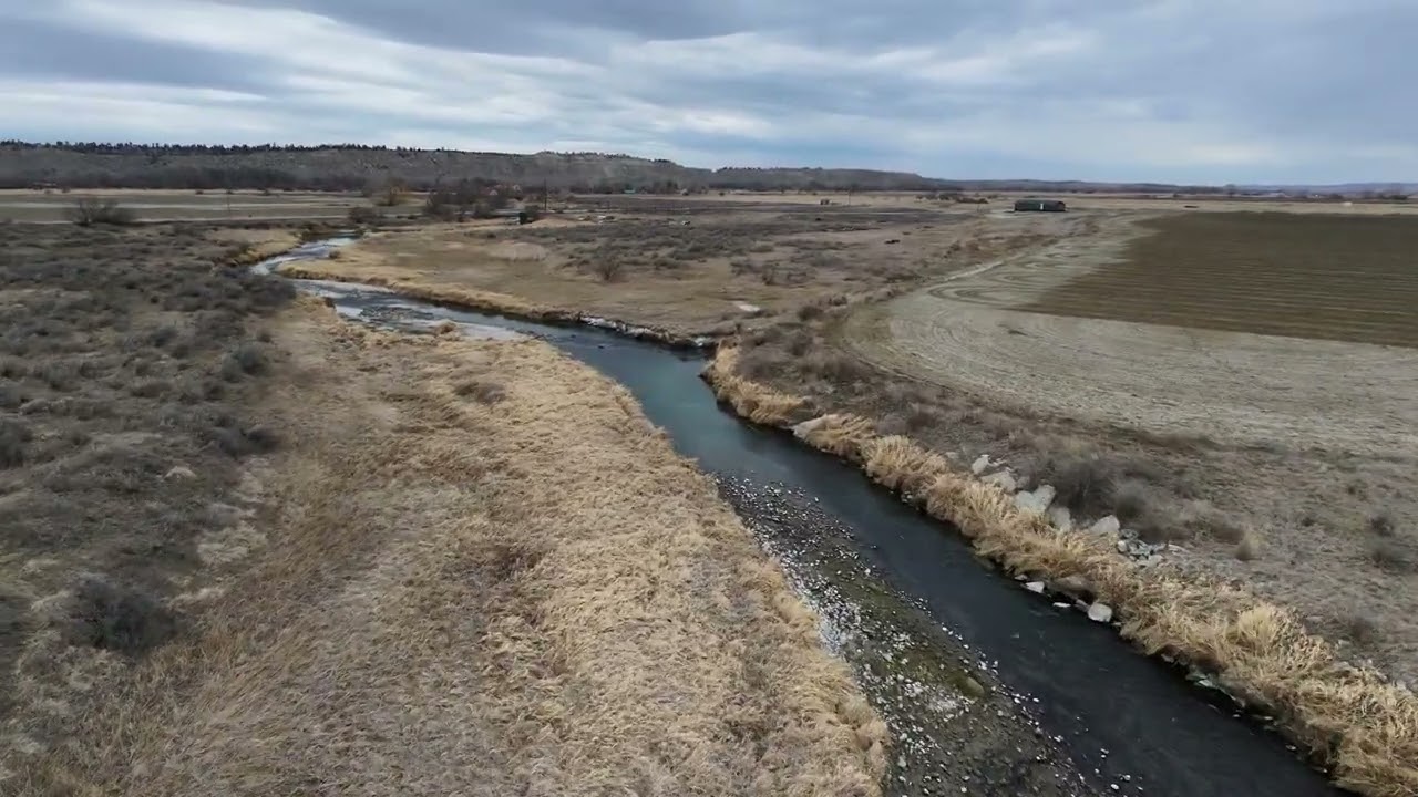 DJI NEO 2 FPV Yellowstone County Creek