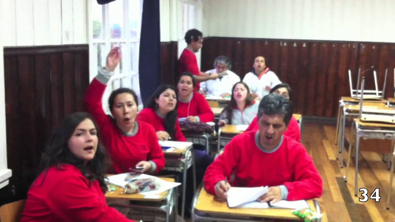 Día Alumno 2014 San Vicente de Paul Pto Octay