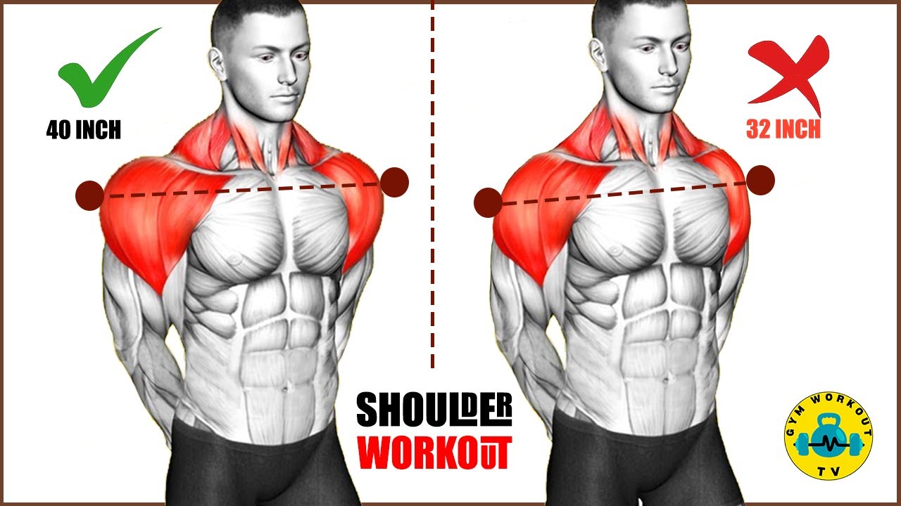 Build 3D Shoulders - Complete Dumbbell Shoulder Workout for Beginners