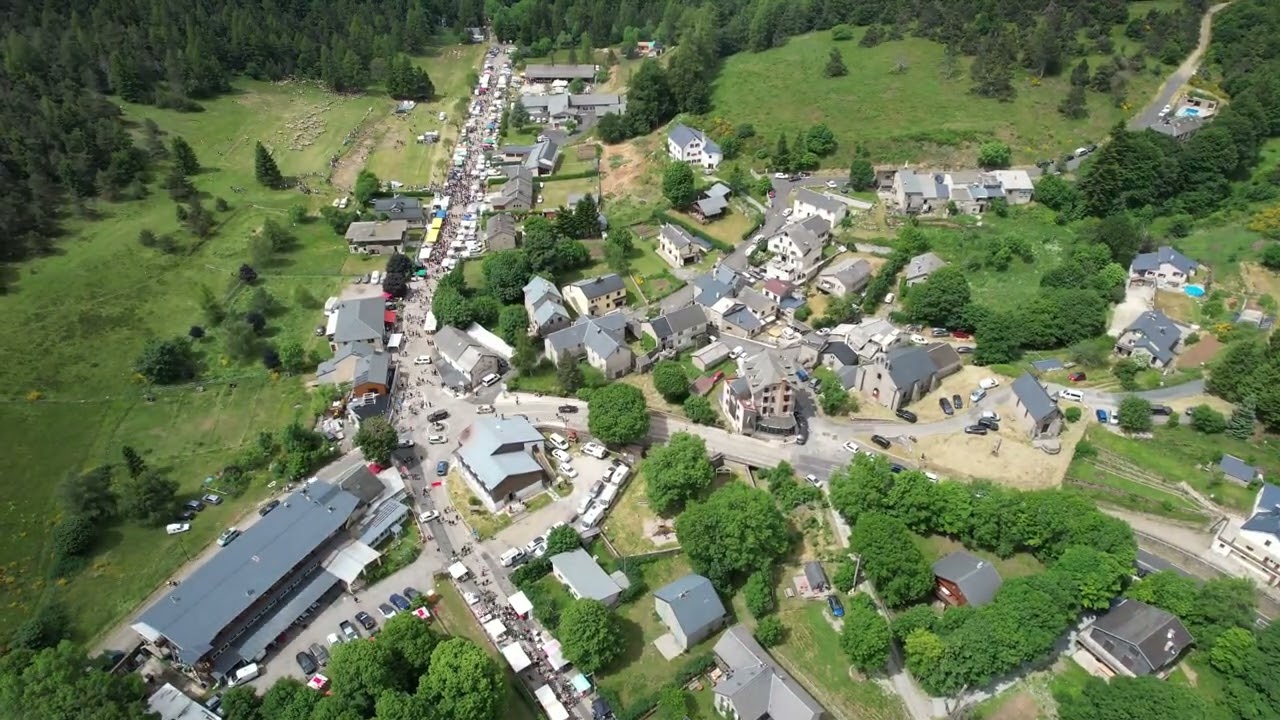 Transhumance de l'Espérou 2025 - 1ère partie