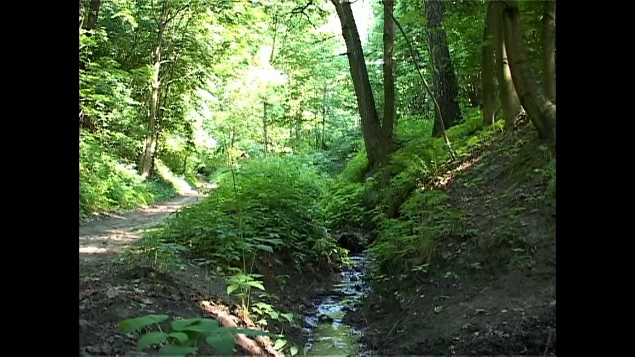 Biegam, więc jestem
