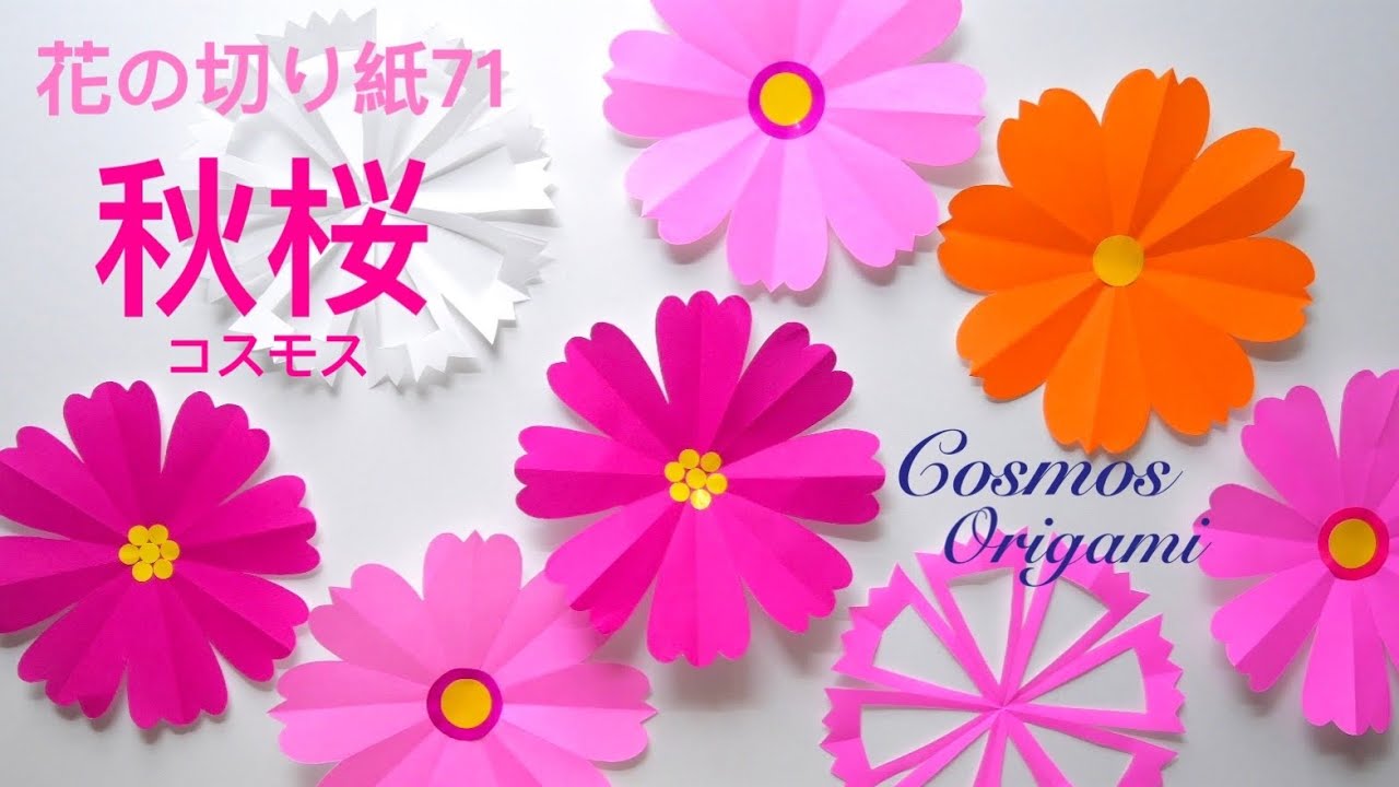コスモス3種/花の切り紙71🌸Cosmos Origami