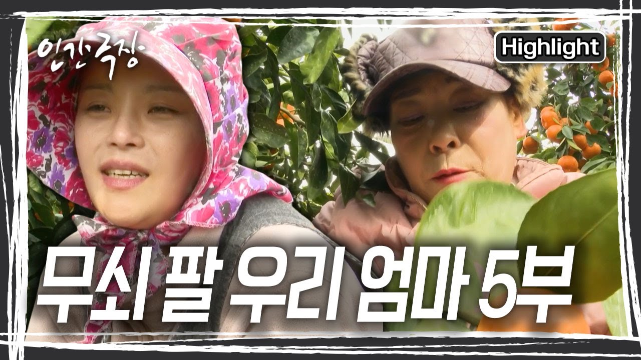 곁을 지키는 딸과, 오늘도 최선을 다해 살아가는 엄마. 말로 다하지 않아도 모녀의 마음은 서로에게 전해진다 [인간극장] KBS 260130 방송