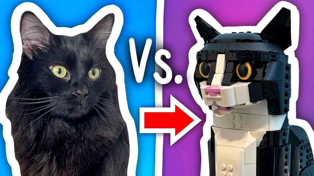 CATS  Vs. LEGO Challenge!
