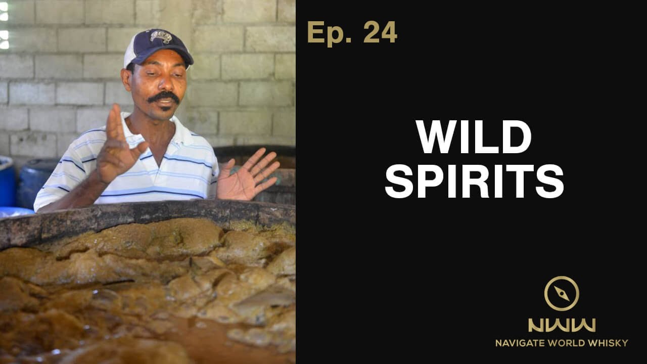 Wild Spirits? (ep.24)