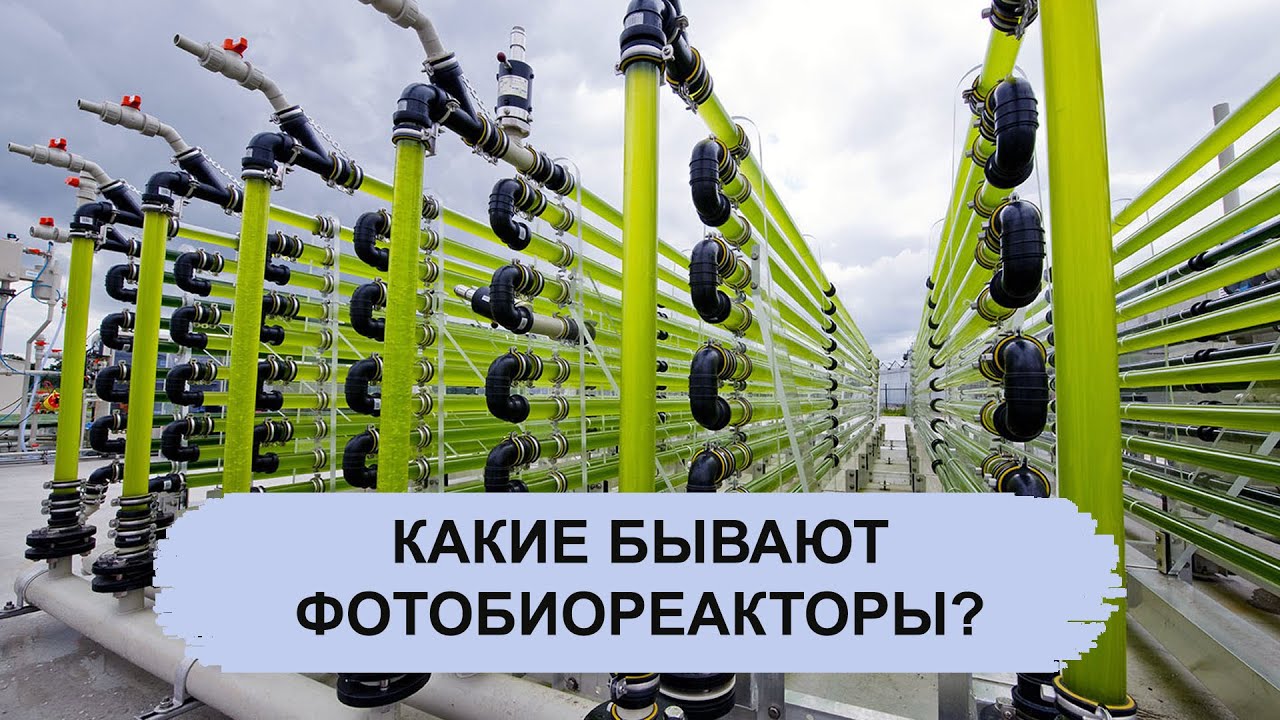 КАКИЕ БЫВАЮТ ФОТОБИОРЕАКТОРЫ?
