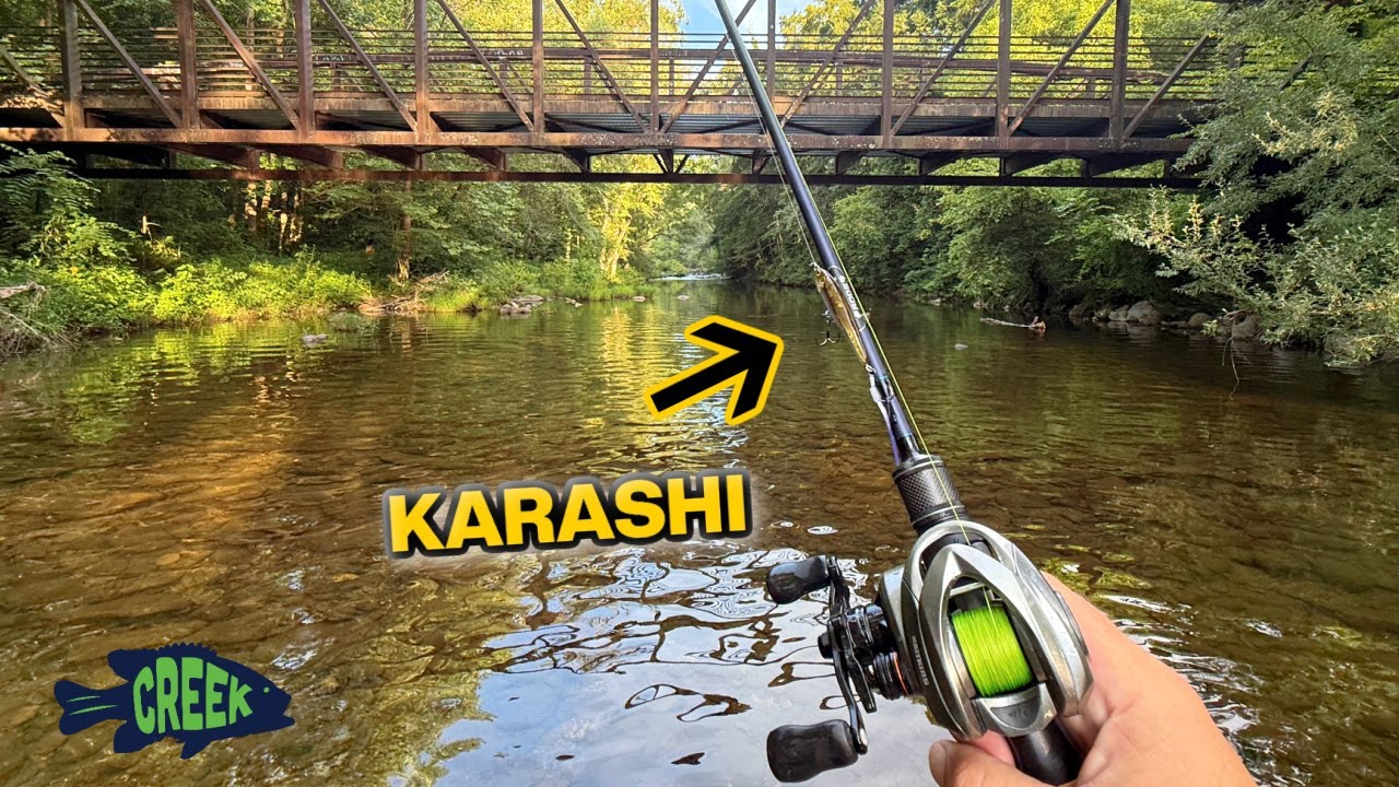 Topwater Creek Wading with Karashi BFS
