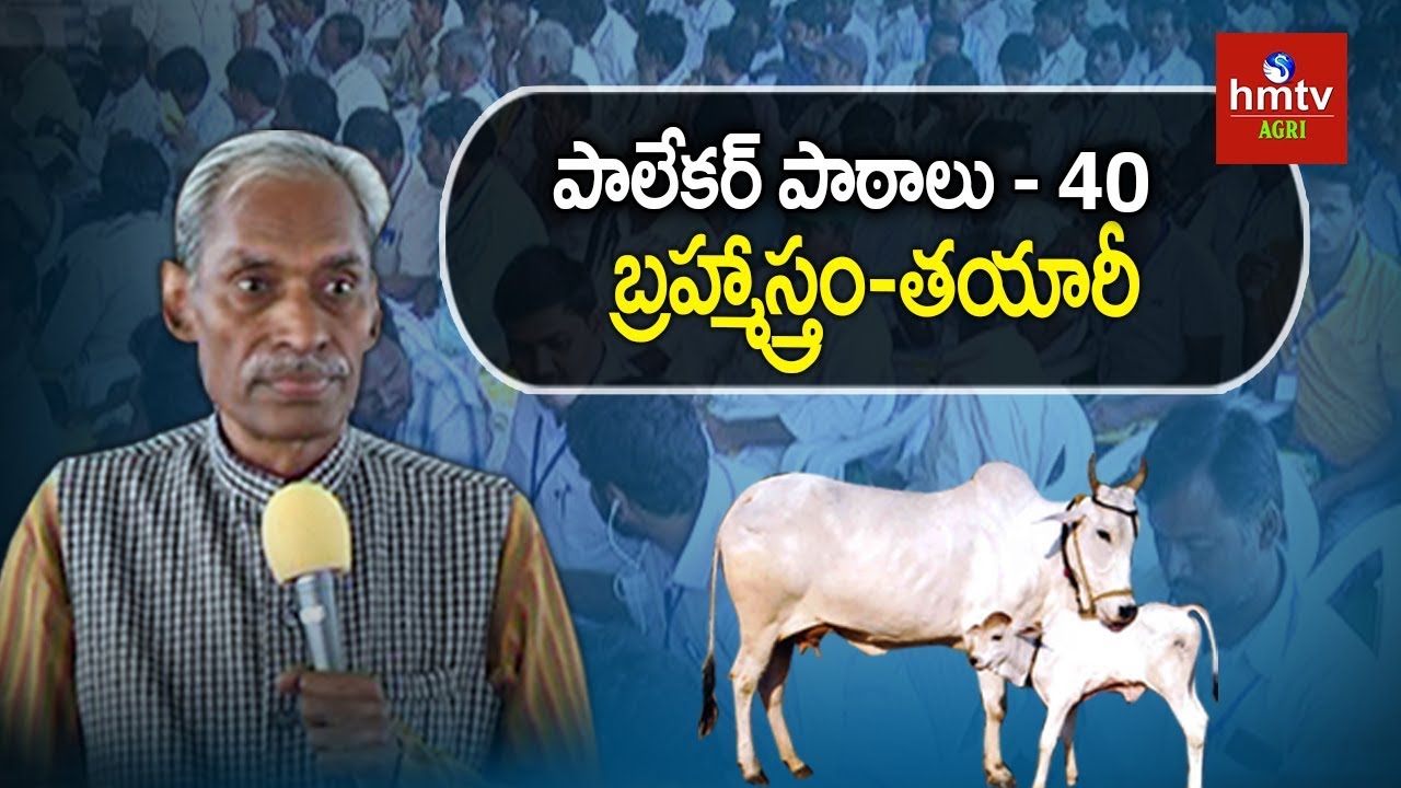బ్రహ్మాస్త్రం-తయారీ | Subhash Palekar Lessons #40 | hmtv Agri