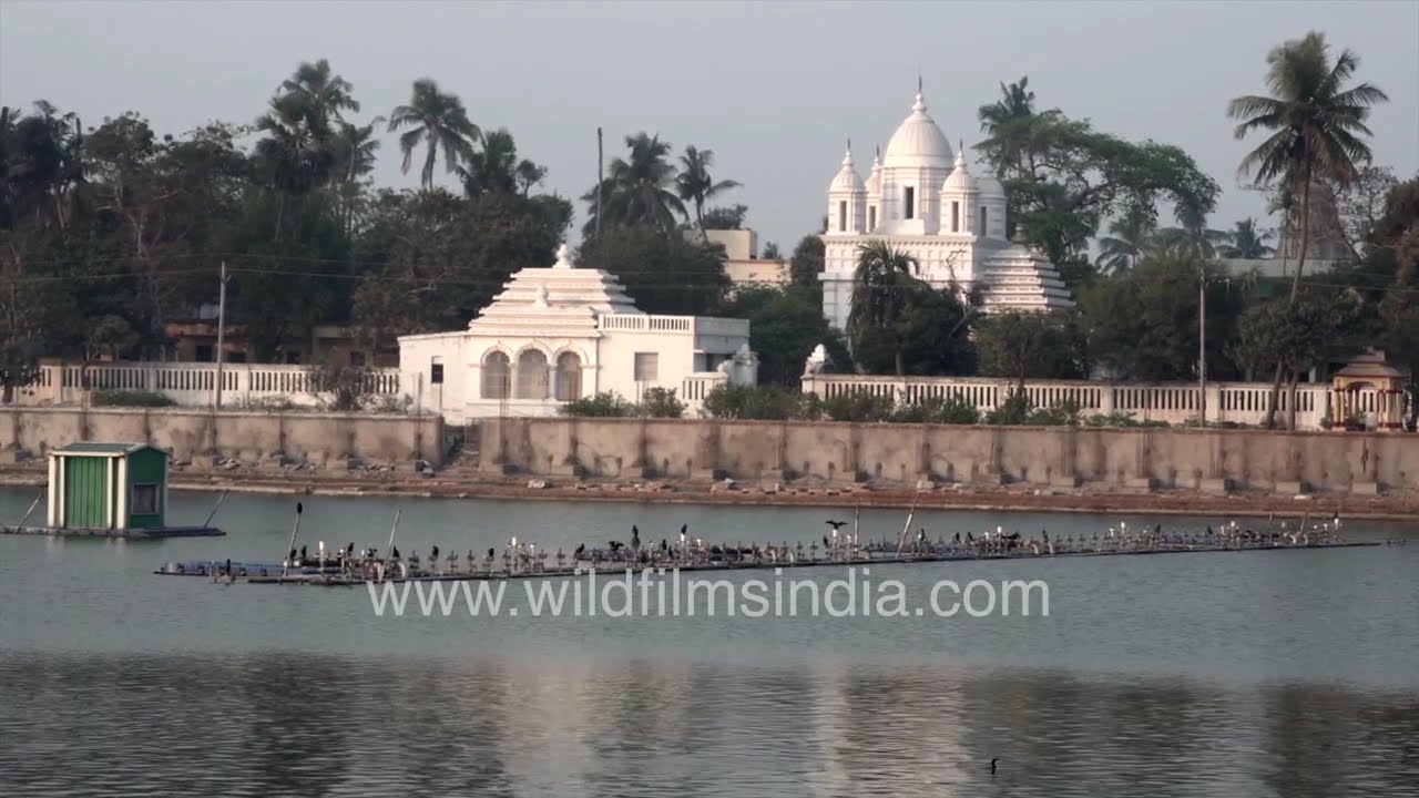 Narendra Tank – calm waters of Chandana Pushkarini
