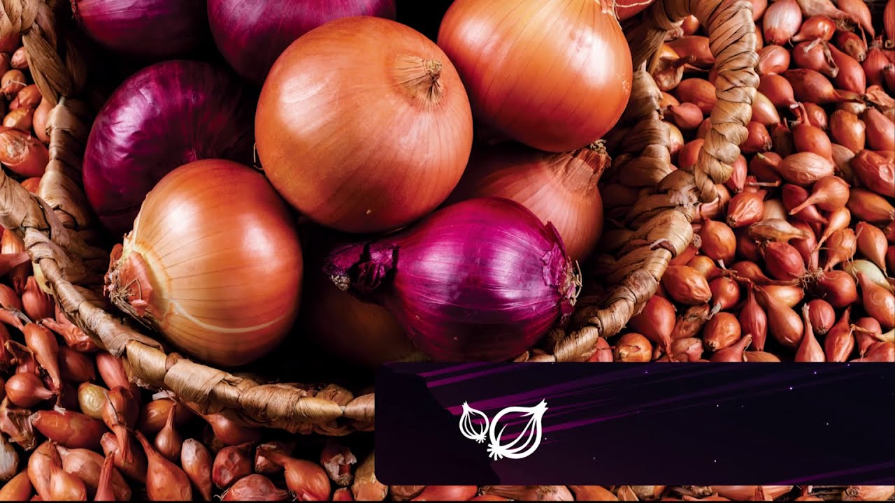 Tata Steel Nest-In | AgroNest | Smart Onion Warehouse