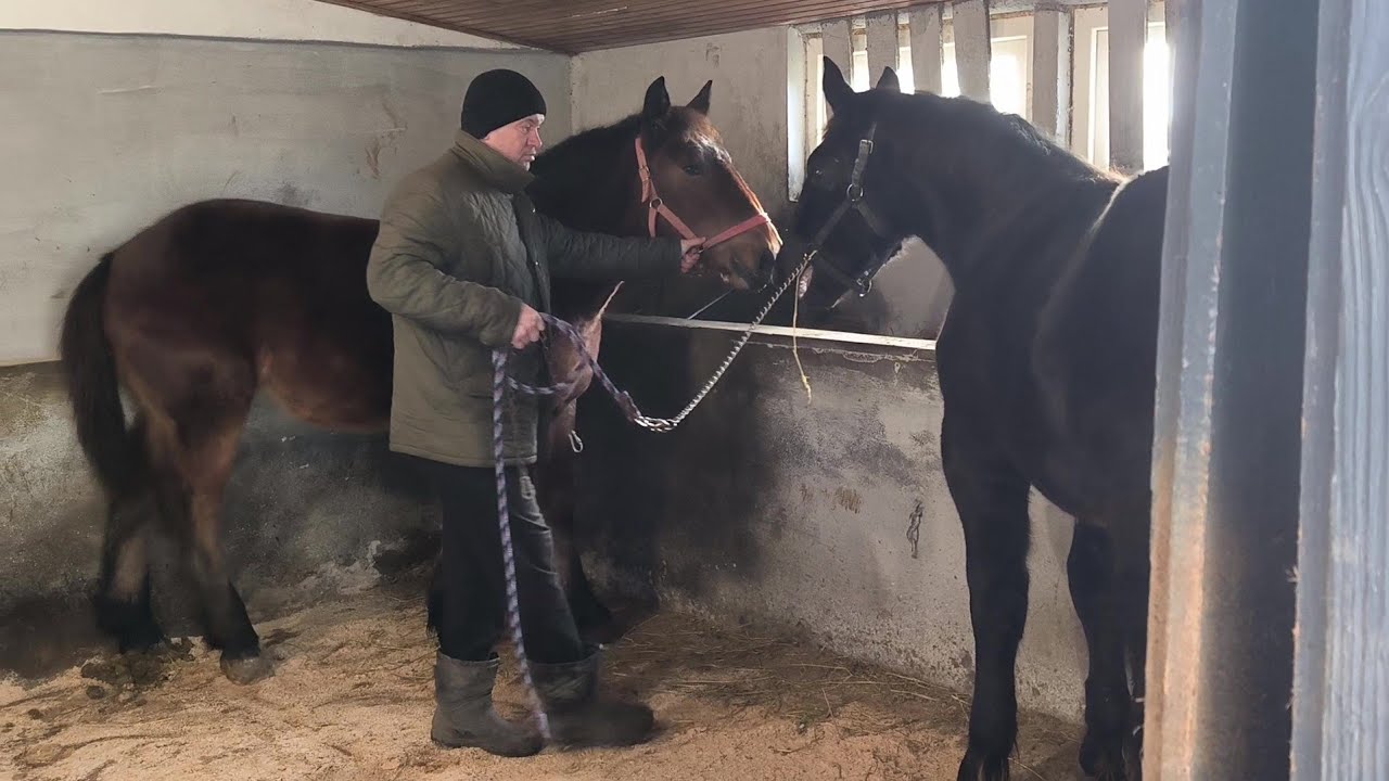КРАСЕНІ ПІДРОСТАЮТЬ, ЕНЕРГІЯ ПЕРЕЛИВАЄТЬСЯ ЧЕРЕЗ КРАЙ ⚡🔥🌪️