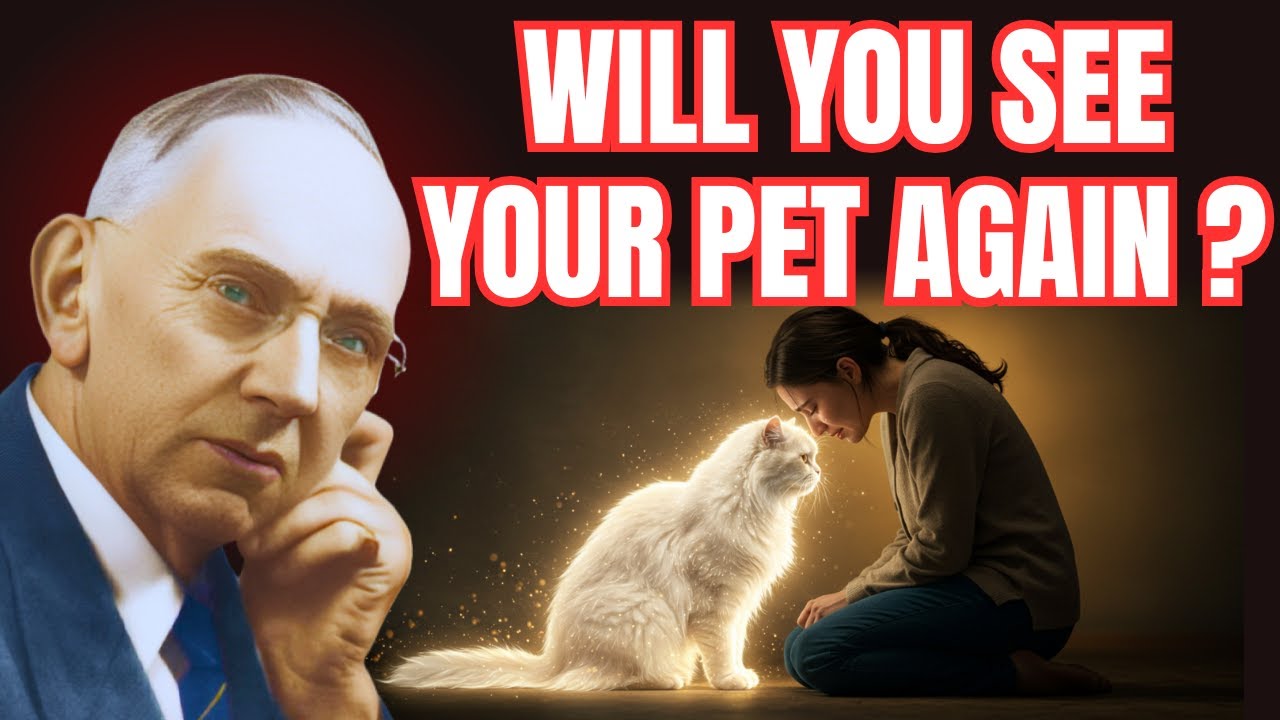 Что происходит с животными после смерти? Эдгар Кейси раскрывает правду