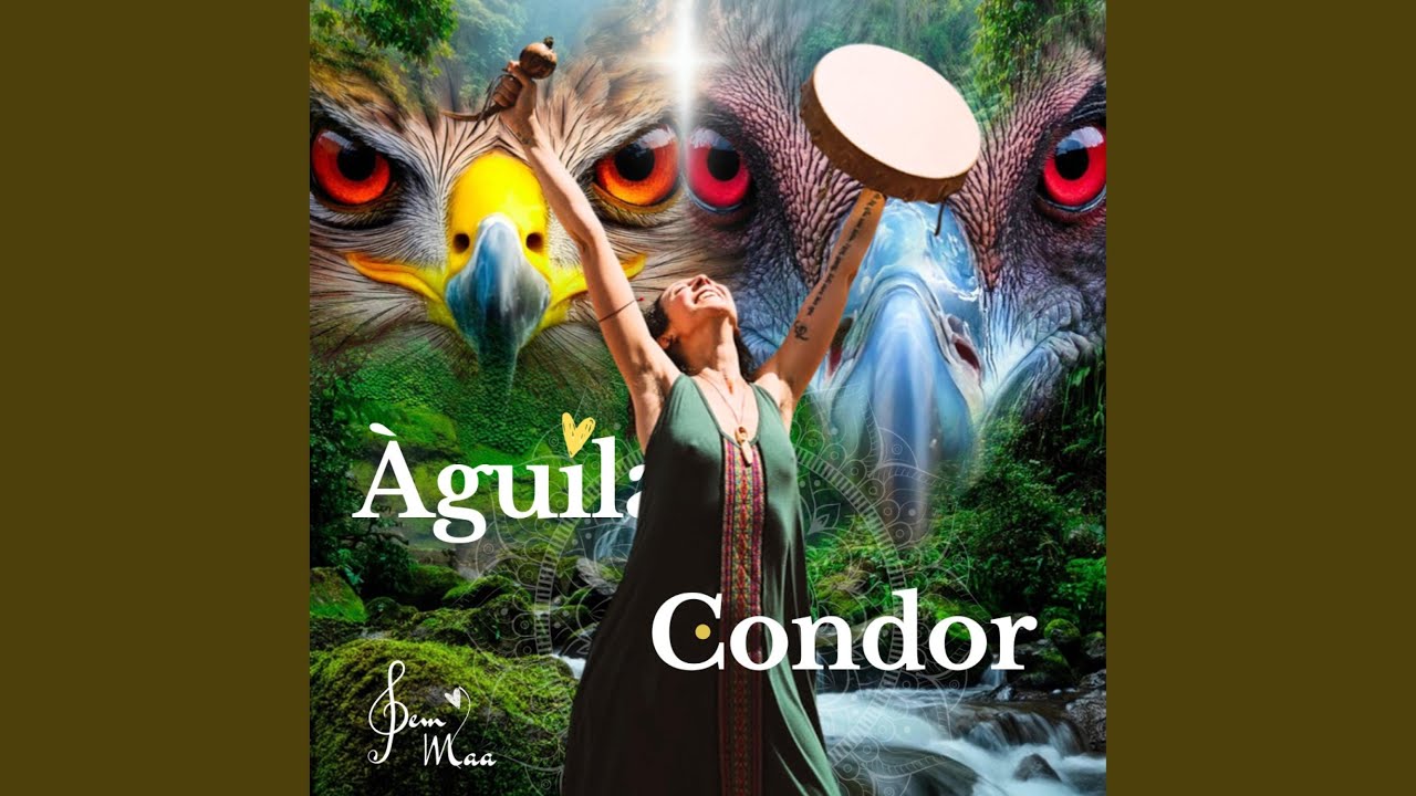 Àguila Condor