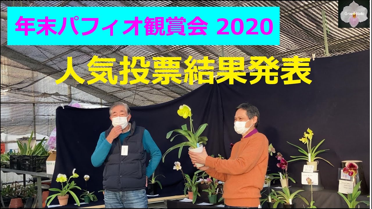 年末パフィオ観賞会2020人気投票結果発表
