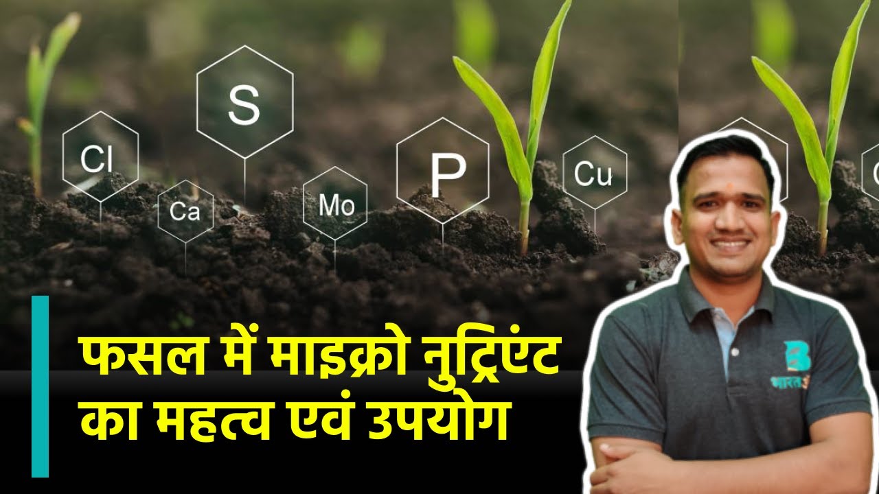 micronutrients fertilizer in hindi | माइक्रोन्यूट्रिएंट्स फर्टिलाइजर