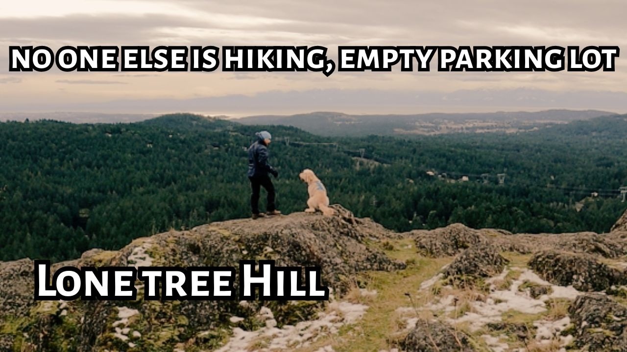 Alone at Lone Tree Hill