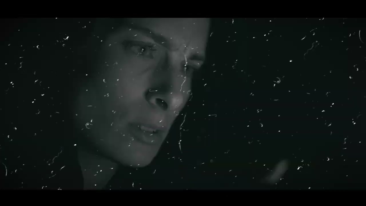 IGNIS VERI - Love Will Find You