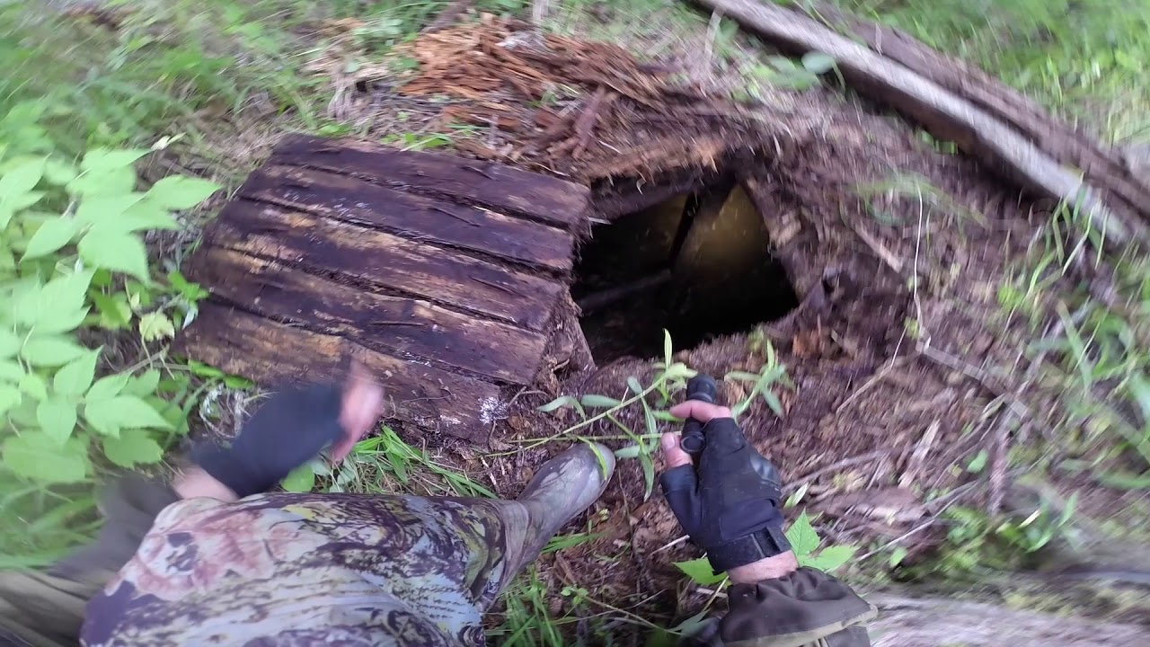 Браконьерские схроны(погребок))