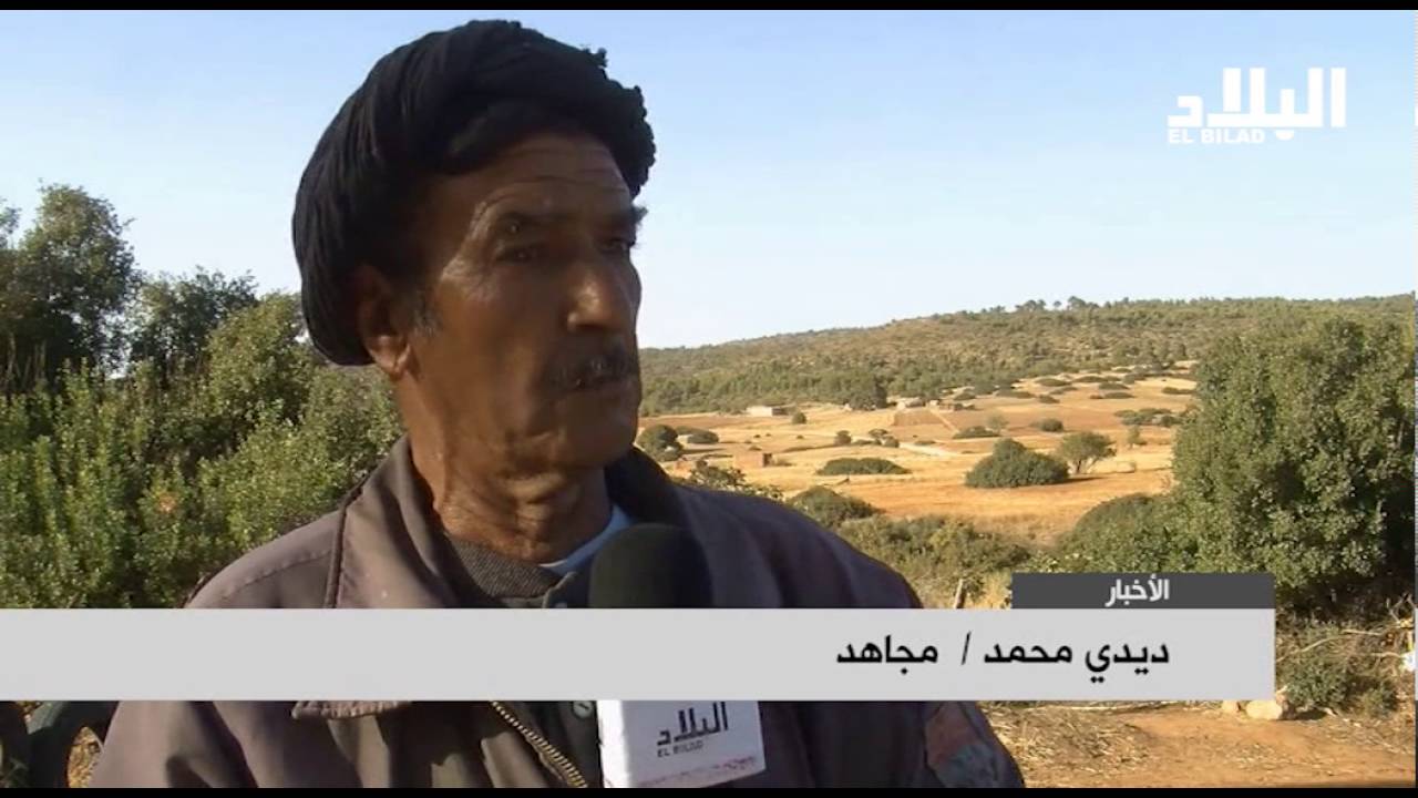 منطقة تافرنت بالسعيدة .. تراث وآثار تنتظر العناية و الاهتمام !  -elbilatv-