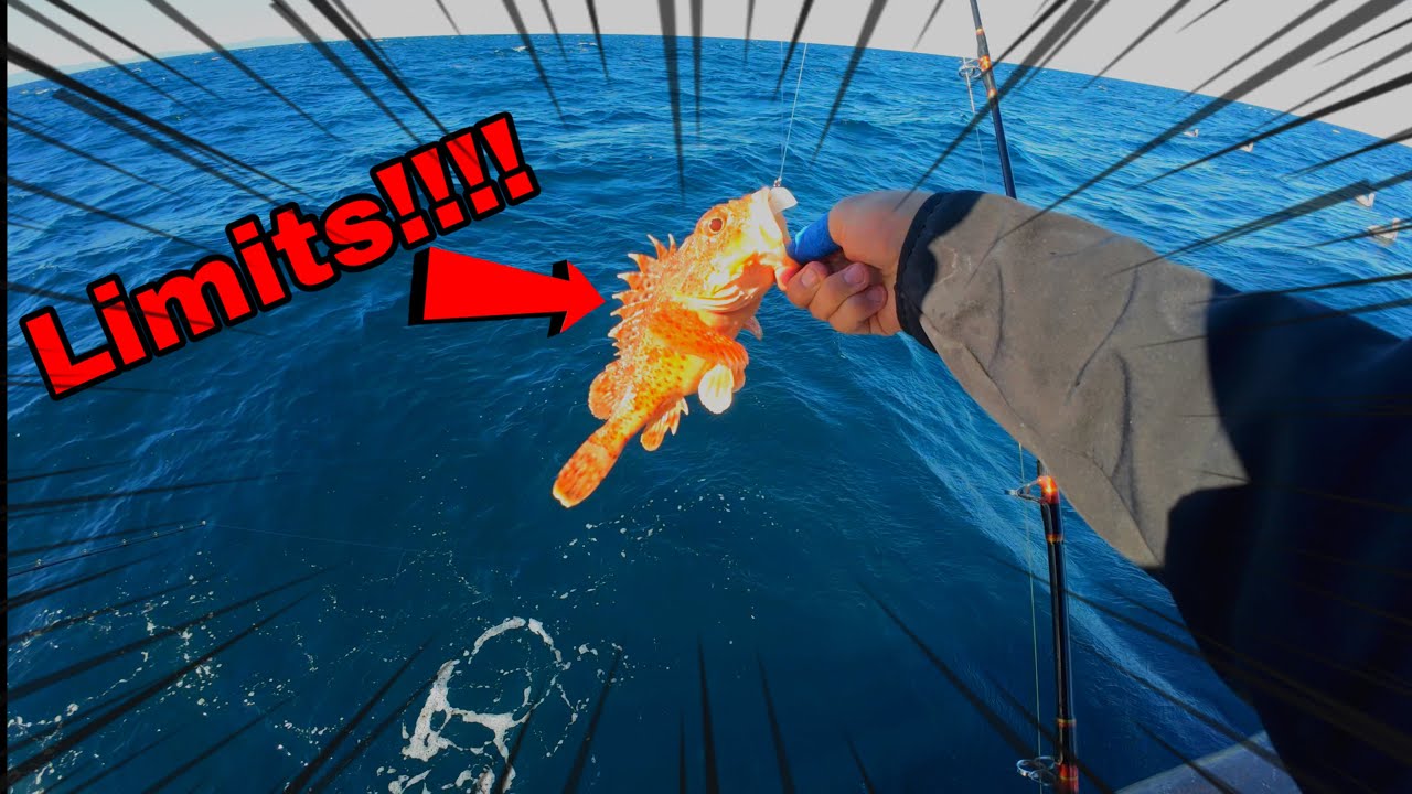 Pulling up sculpin limits on the Victory Sports fishing boat!!!!!!