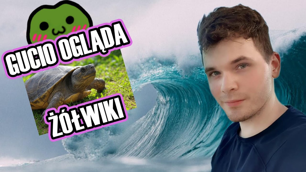 GUCIO OGLĄDA ŚMIESZNE FILMIKI Z ŻÓŁWIAMI