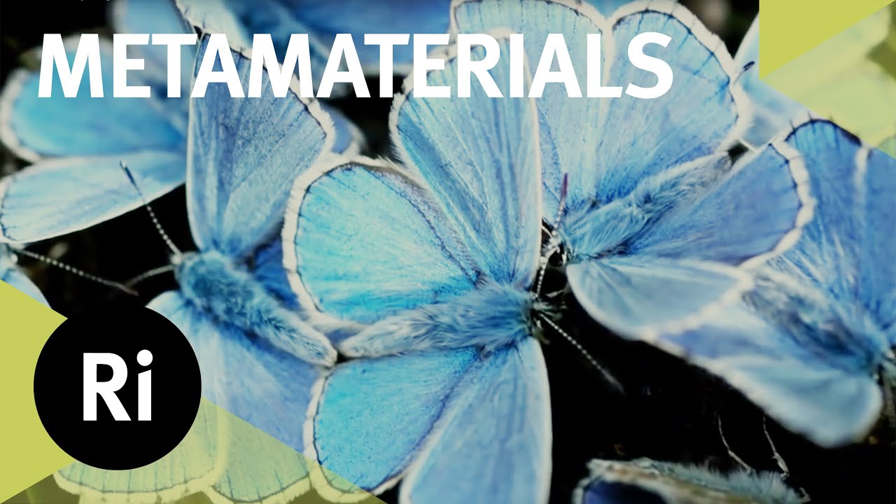 From Butterfly Wings to Metamaterials