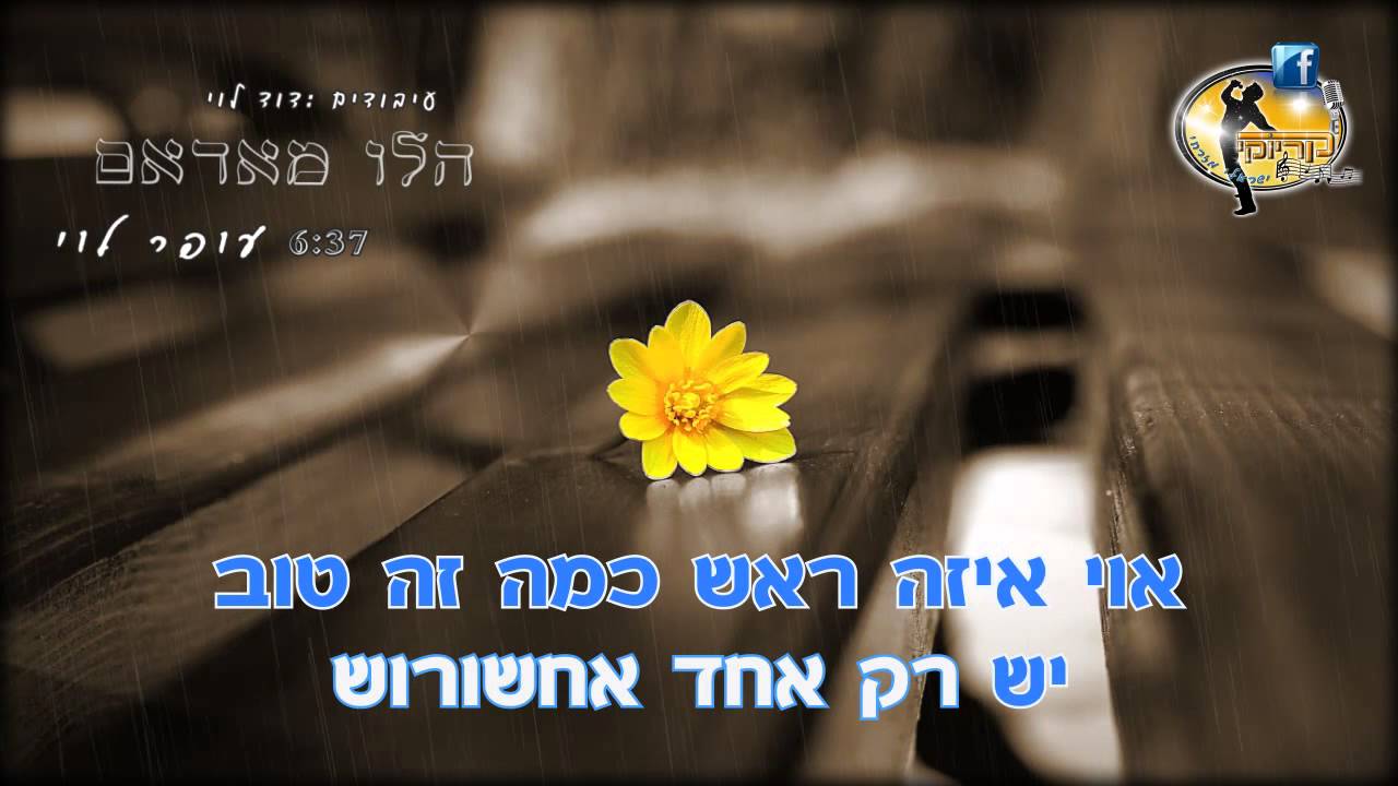 הלו מאדאם - עופר לוי - קריוקי ישראלי מזרחי - Ofer Levi - karaoke