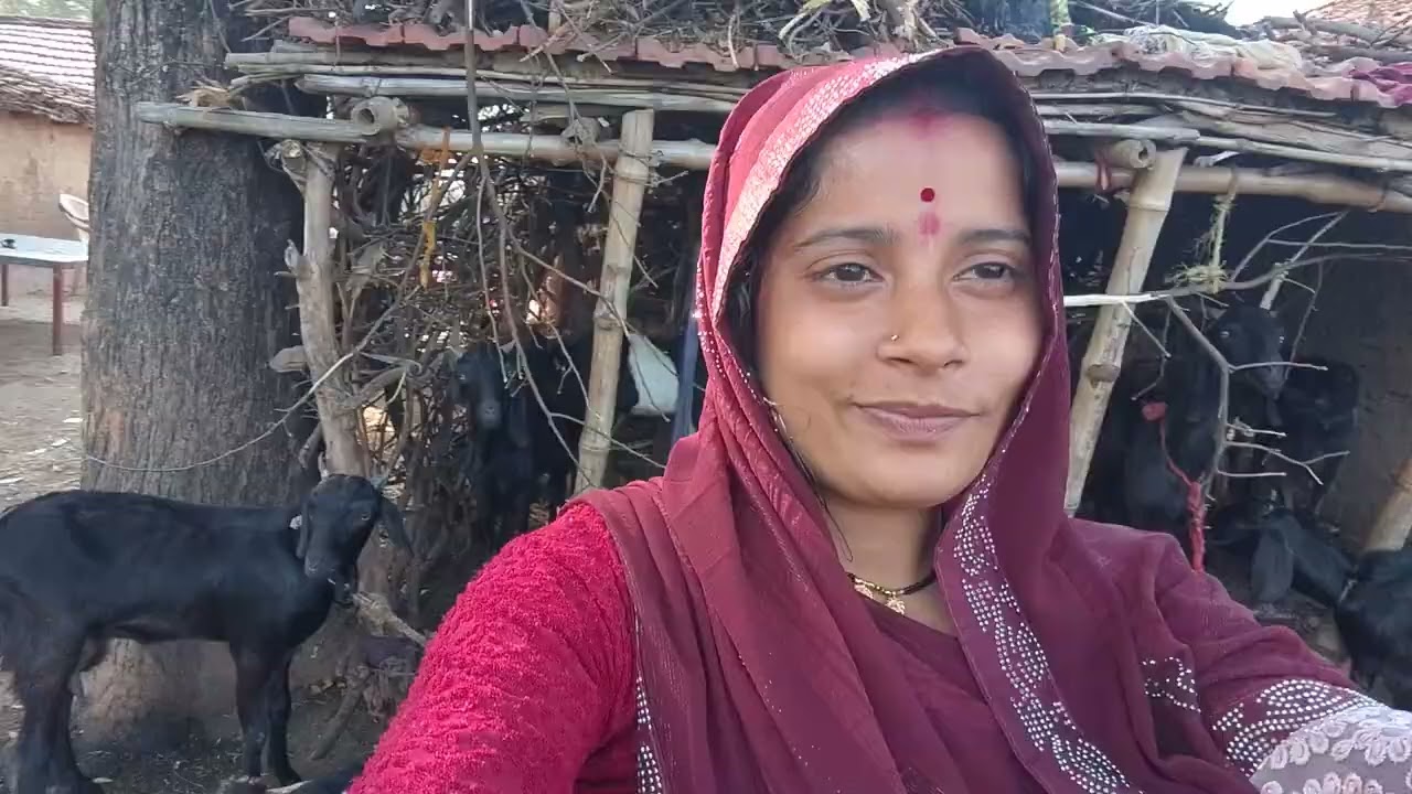 Aaj ladke wale dekhne Aaye The Meri syster ki shaadi Pak