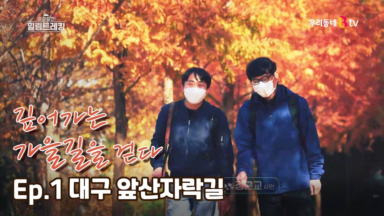 [감성충천⛳️ 힐링트레킹]1회.깊어가는 가을길을 걷다_대구앞산자락길