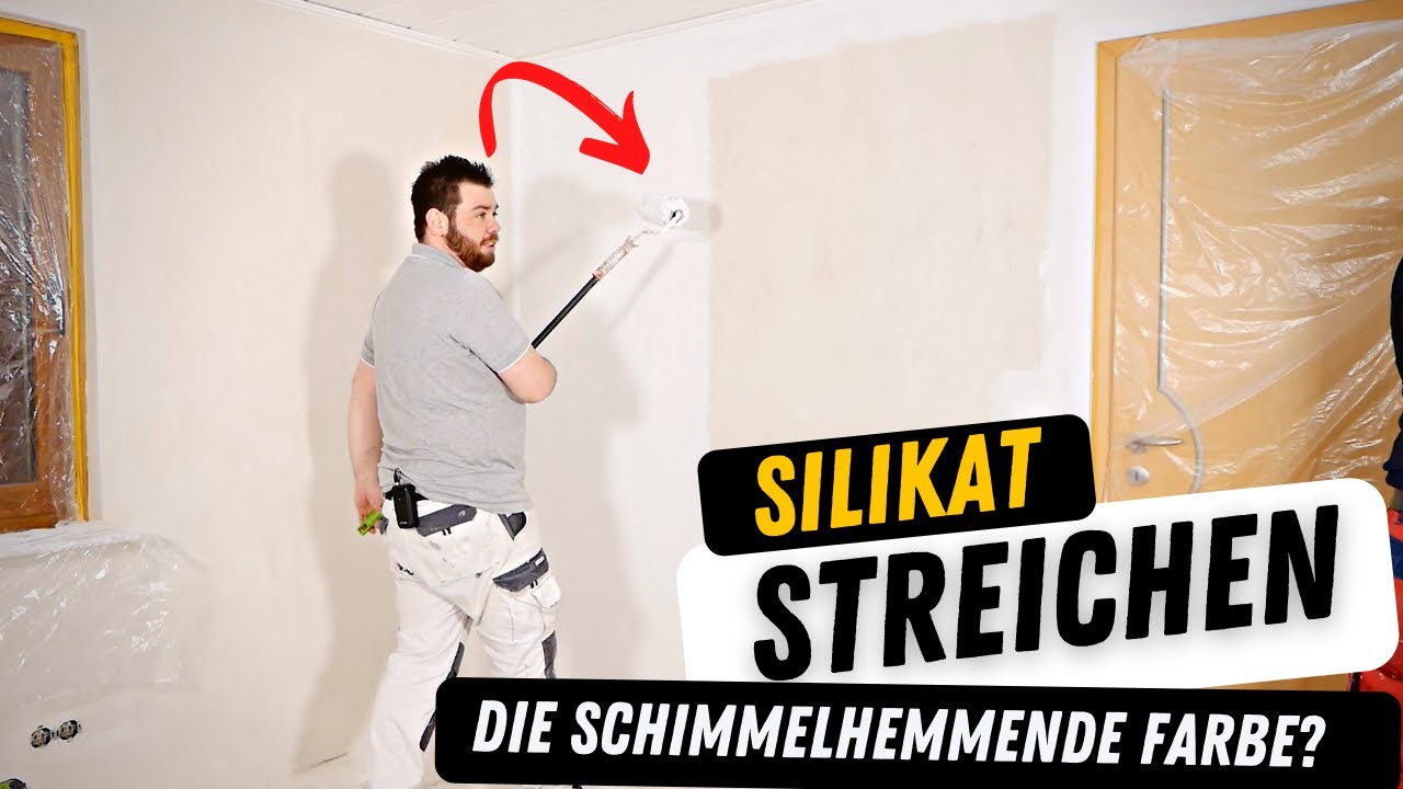 Silikatfarbe STREICHEN | Welche Rollen & Kosten?