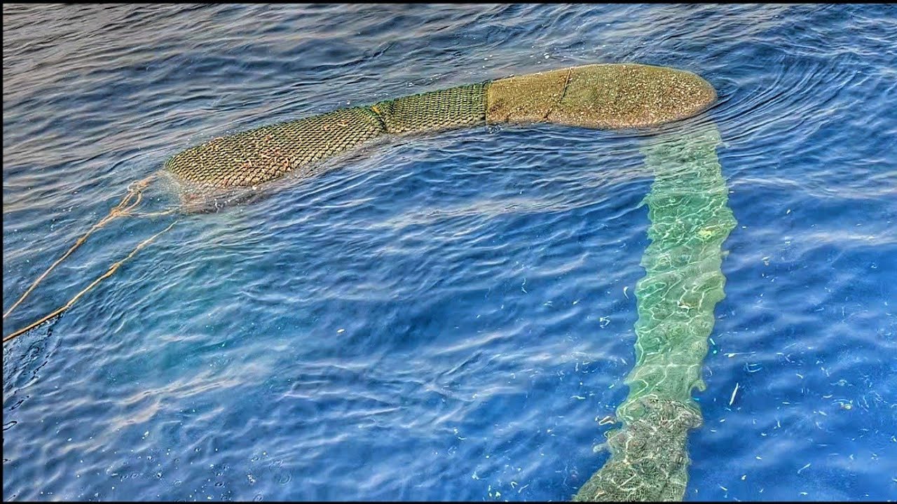 Trawlernet Fishing caught lot's of Fishes in the Arabian Deep sea|#mandapammeenavan #fishingvideo 