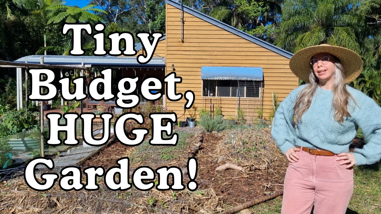 How we made this whole no-dig garden for just $115.