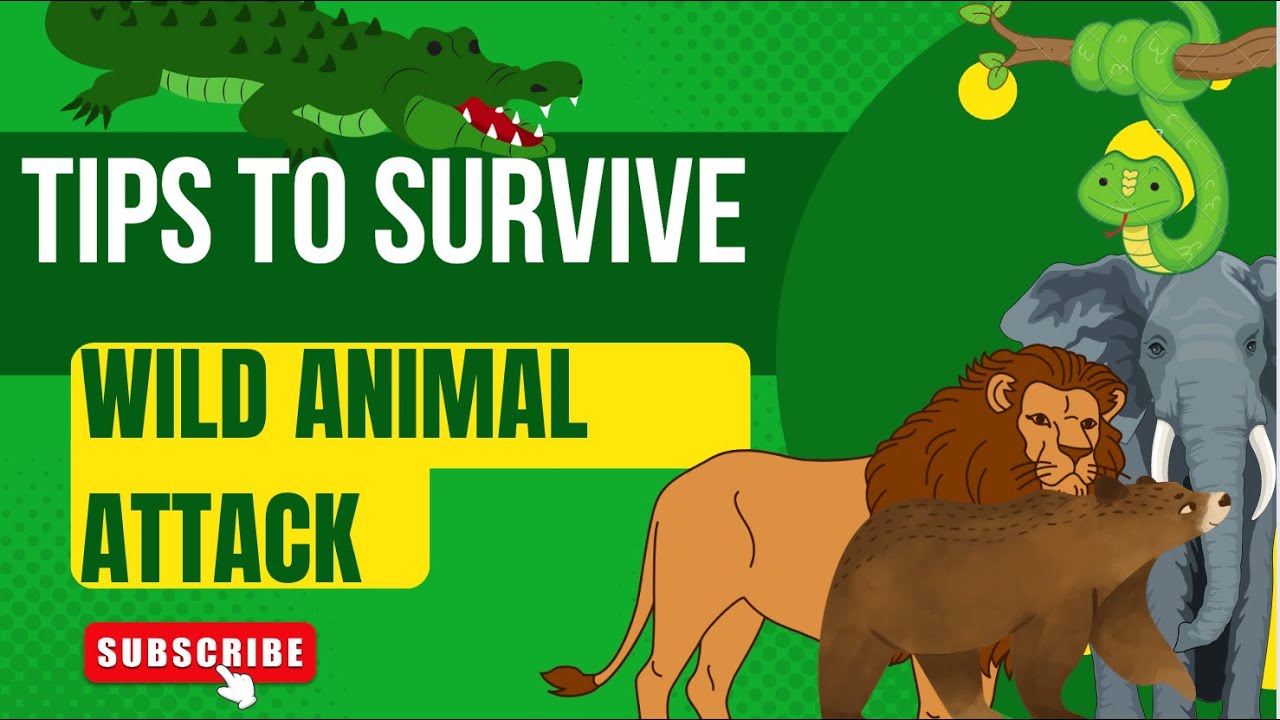 HOW SURVIVE WILD ANIMAL ATTACK | EFFECTIVE 🐯🦁🐘🐻🐍