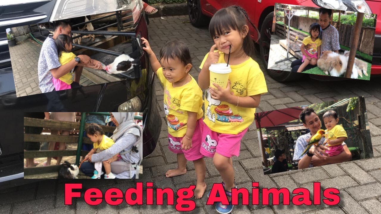 Kanaya memberi  makan hewan di Farm House Lembang